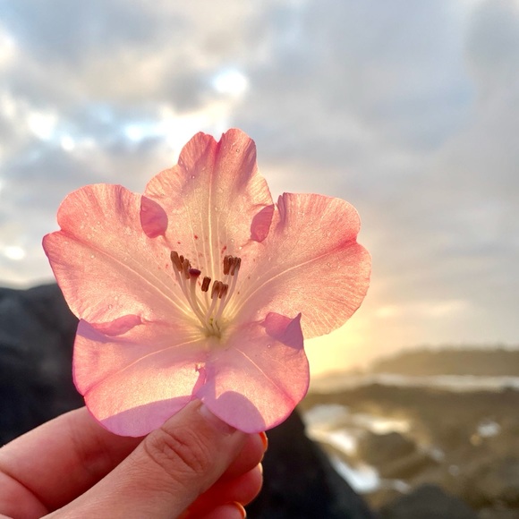 Meet the Posher Other - Meet your Posher, Natalia